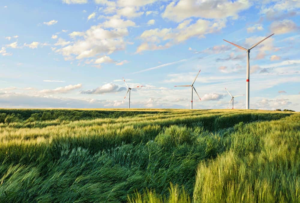 piękna zielona natura Warmii